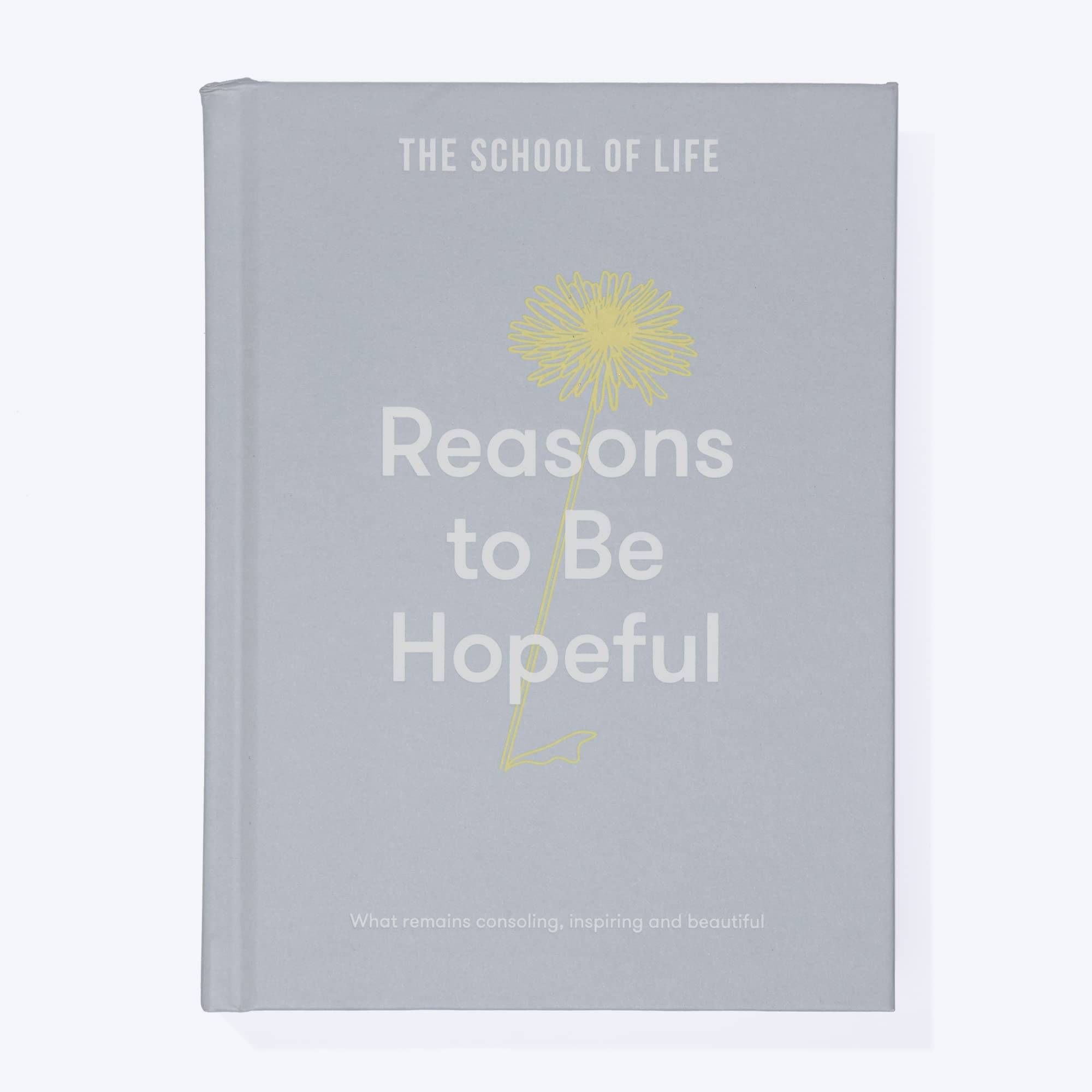 Reasons to Be Hopeful: What remains consoling, inspiring and beautiful