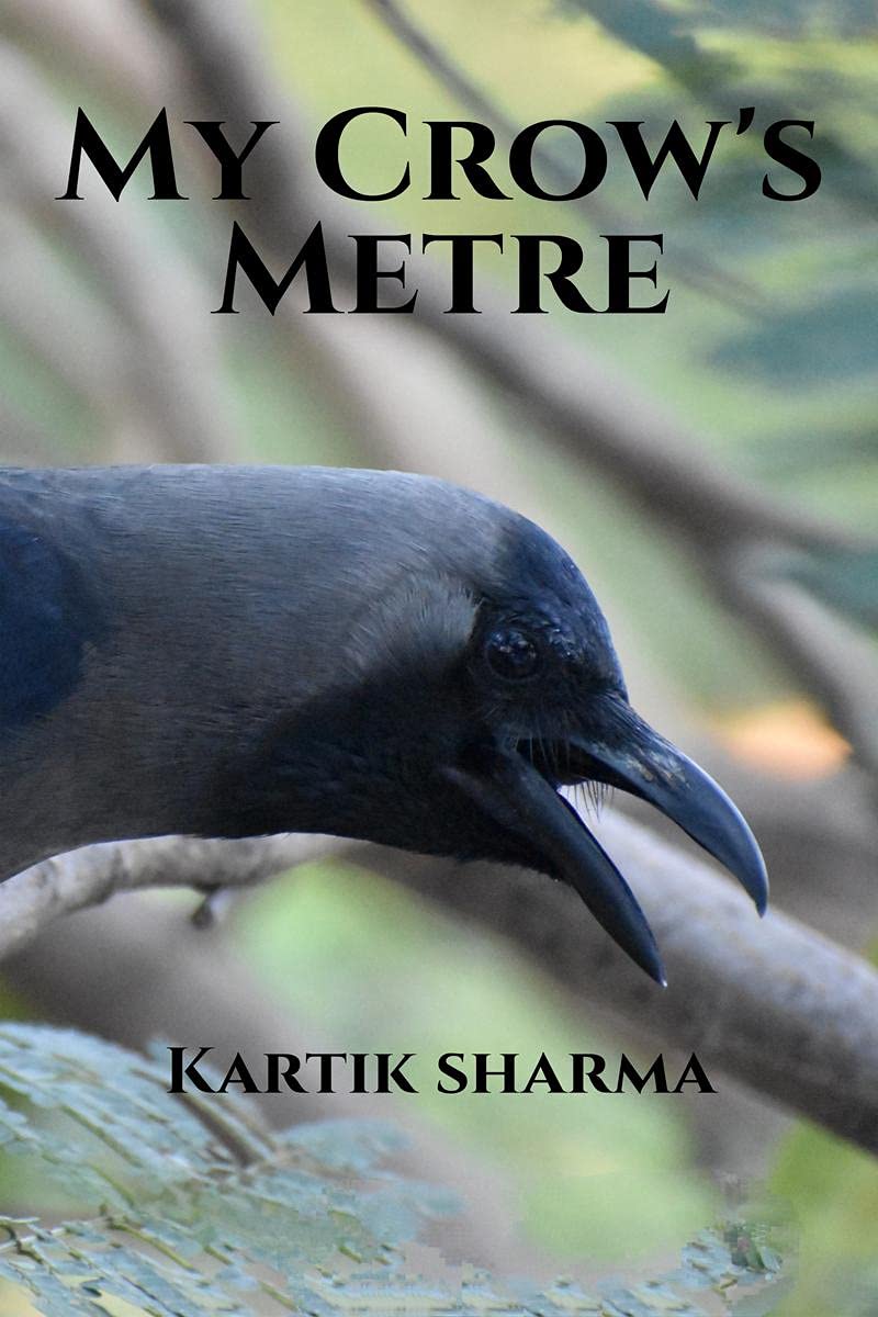 My CrowS Metre