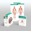 SOBOTTA ATLAS OF ANATOMY PACKAGE 17ED (PB 2023): General Anatomy and Musculoskeletal System / Internal Organs / Head, Neck and N