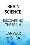 THE BRAIN SIM : DISCOVERING THE BRAIN