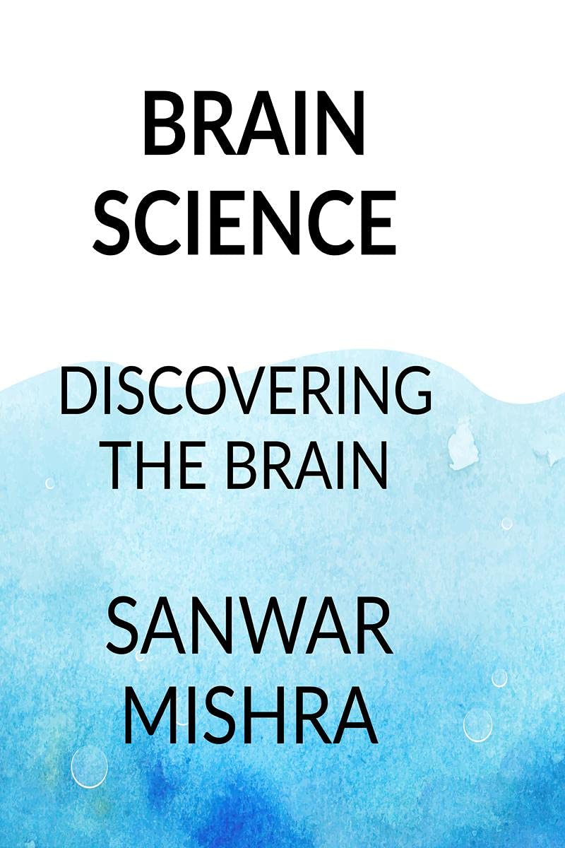 THE BRAIN SIM : DISCOVERING THE BRAIN