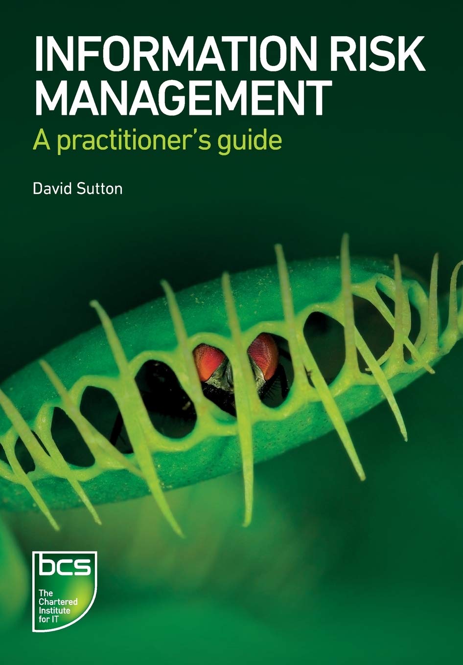 Information Risk Management: A practitioners guide