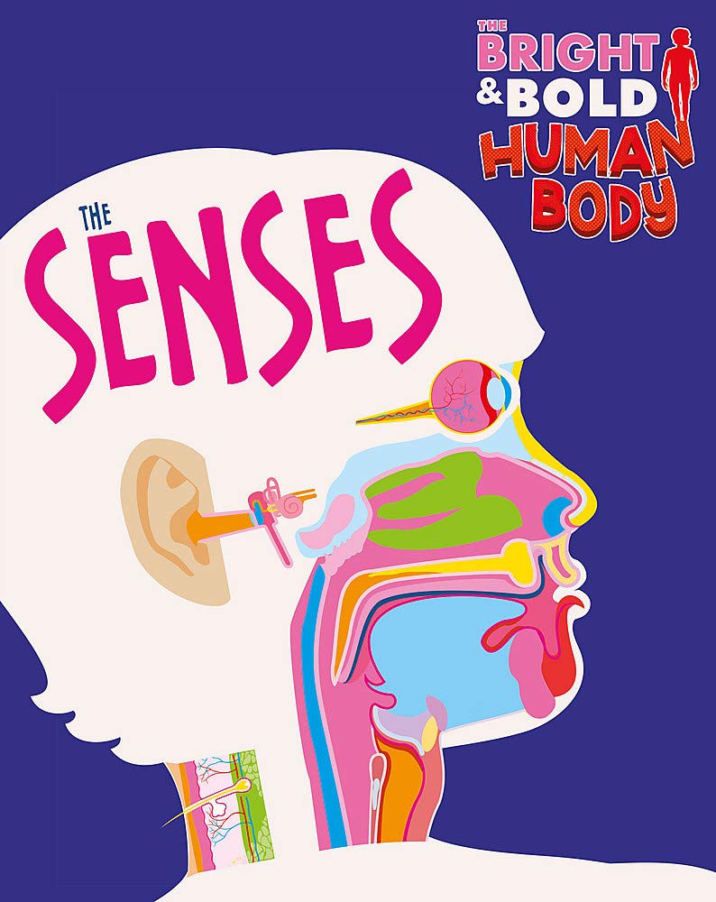 THE BRIGHT AND BOLD HUMAN BODY: THE SENSES