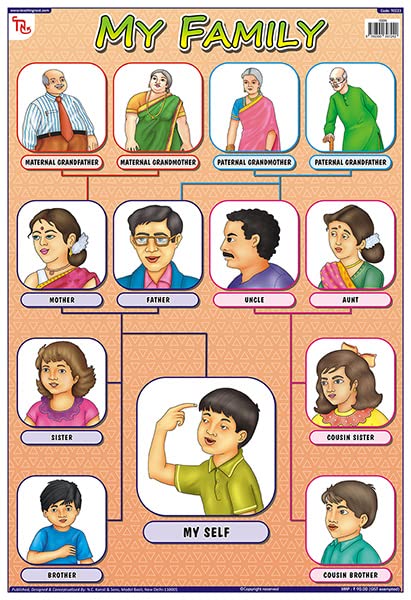Tcc23 | Teachingnest My Family Chart | Laminated 33X48 Cm (13X19 Inch) | Wall Sticking [Wall Chart] Teachingnest [Wall Chart] Te