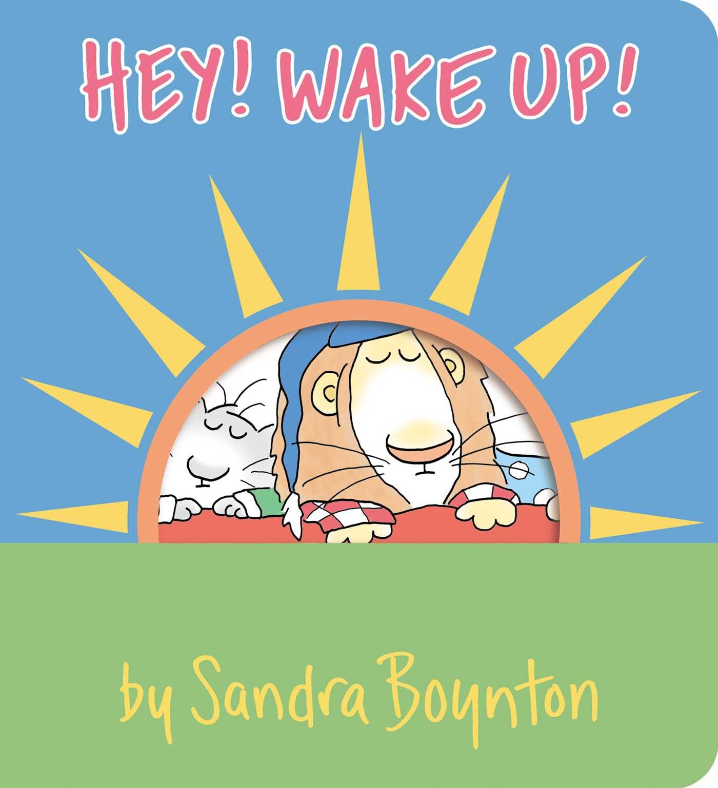 Hey! Wake Up! (Boynton on Board)