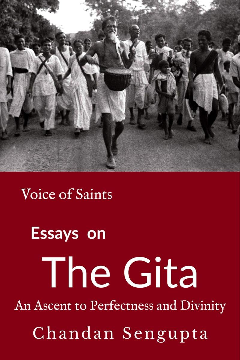 Essays On Gita : An Ascent To Perfectness And Divinity