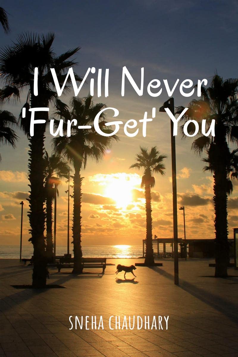 I Will Never Furget You