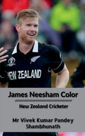 James Neesham Color : New Zealand Cricketer