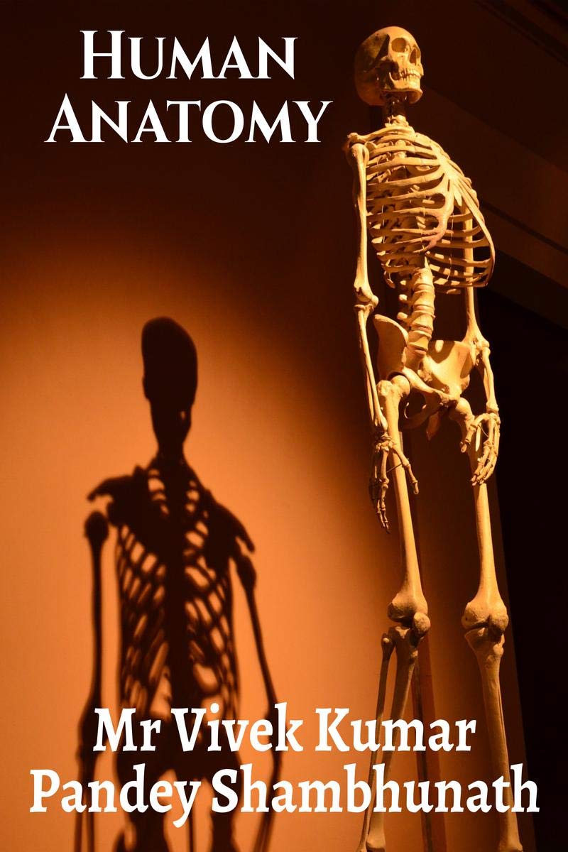 Human Anatomy