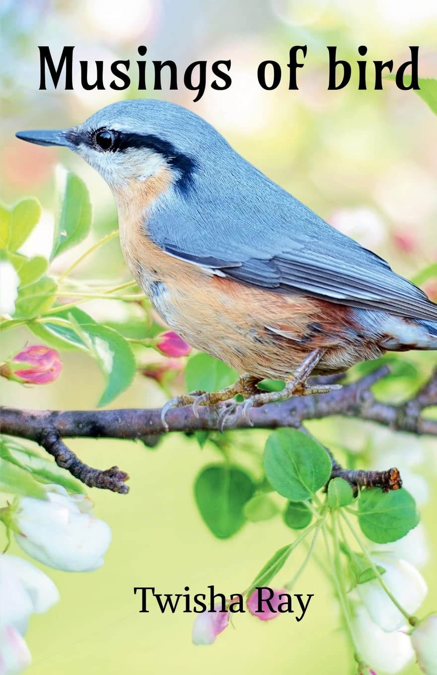 Musings Of Bird : The Voices