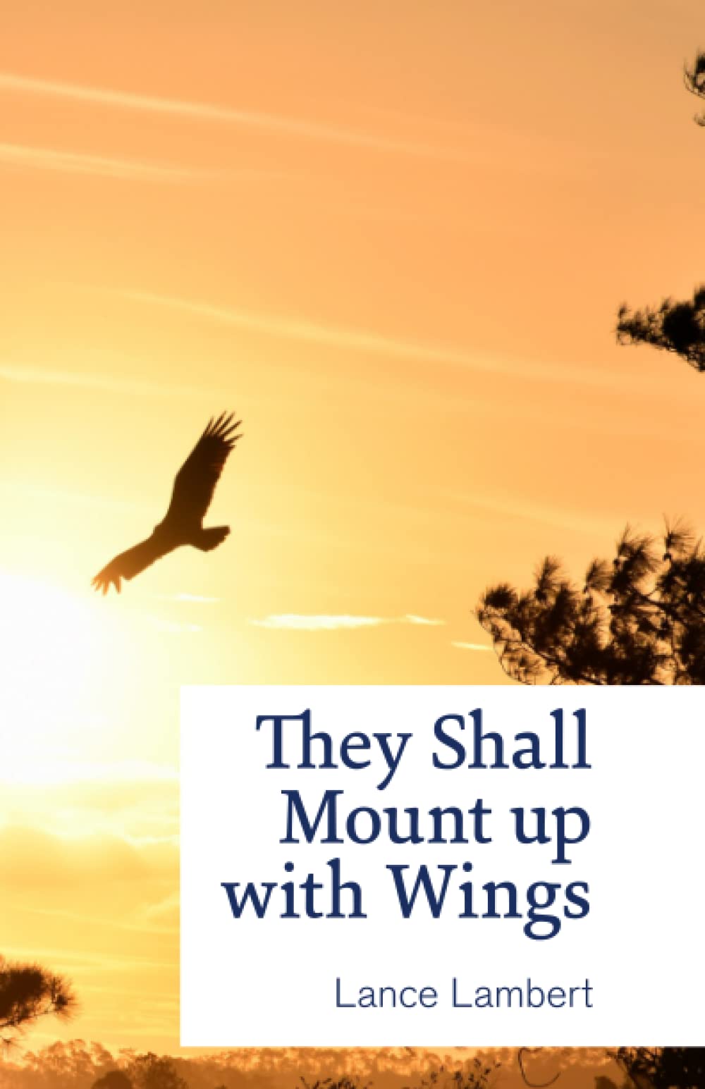 They Shall Mount up with Wings