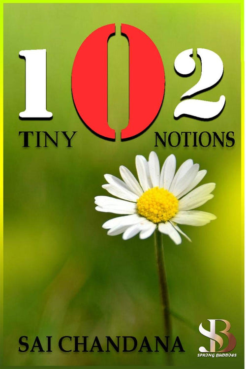 102 Tiny Notions