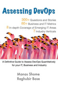 Assessing Devops: Assess Devops Quantitatively For Your It, Business And Industry