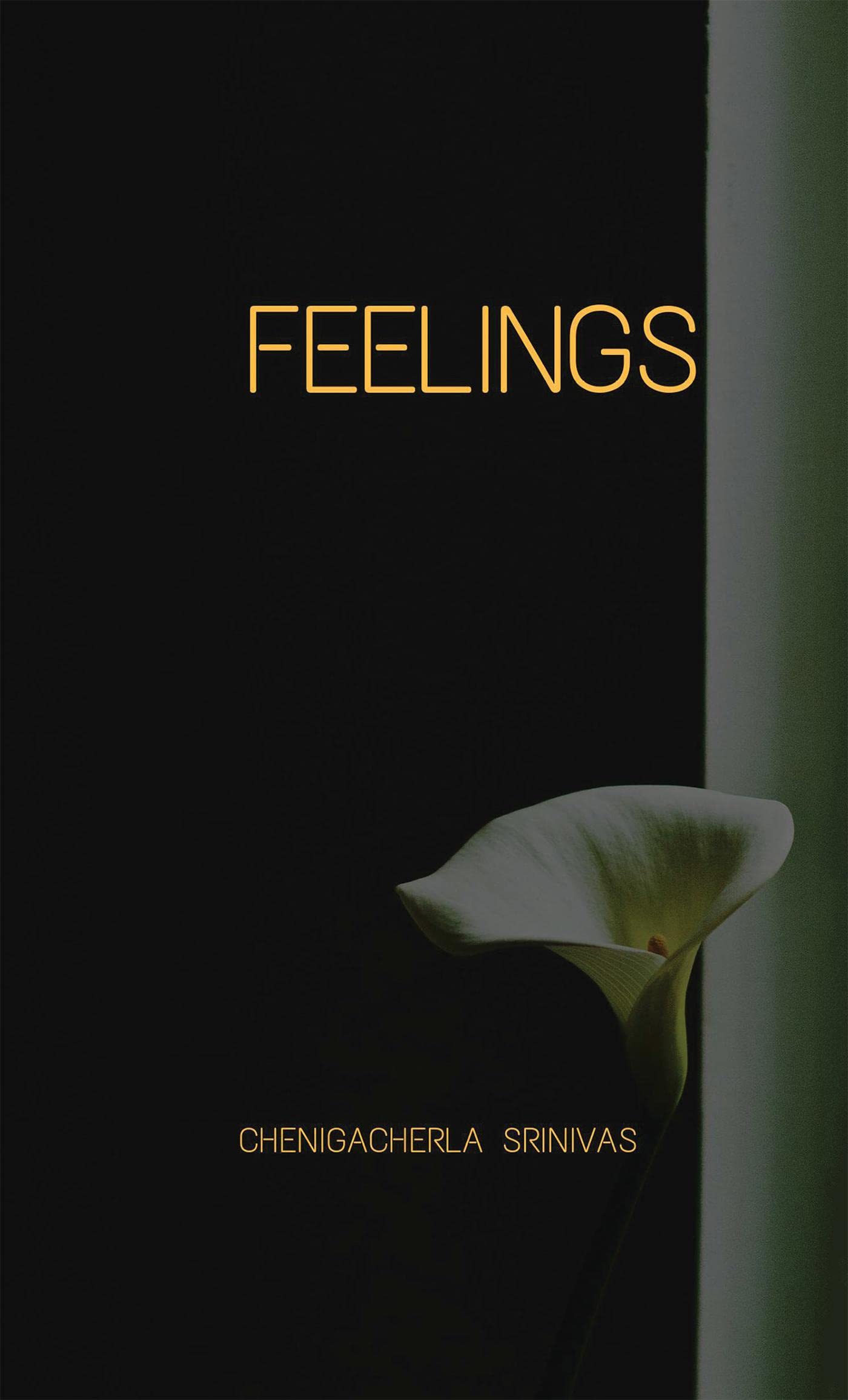 Feelings
