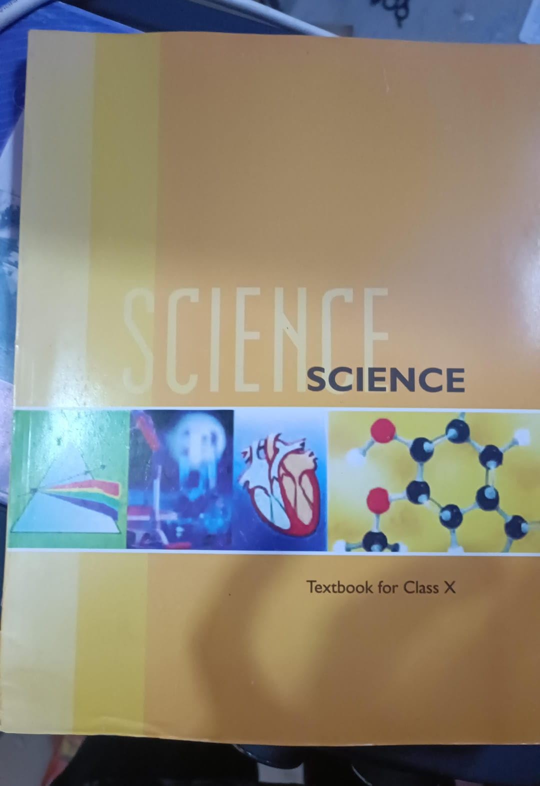 Science 10Th 202526 Edition