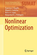 Nonlinear Optimization (Springer Undergraduate Texts In Mathematics And Technology)