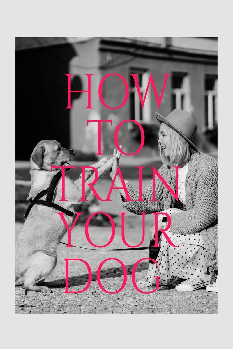 How TRAIN YOUR DOG