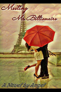 Meeting Mr. Billionaire