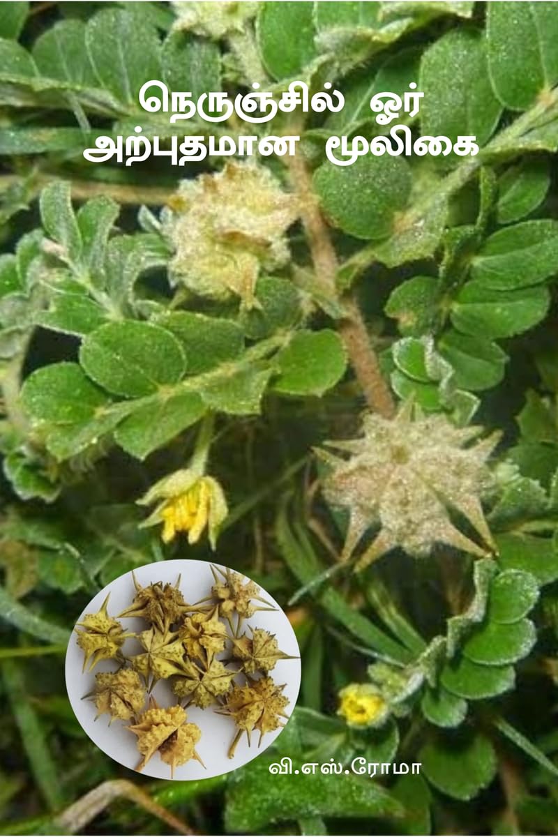 Nerunjil Oor Arputhamana Mooligai /     :  