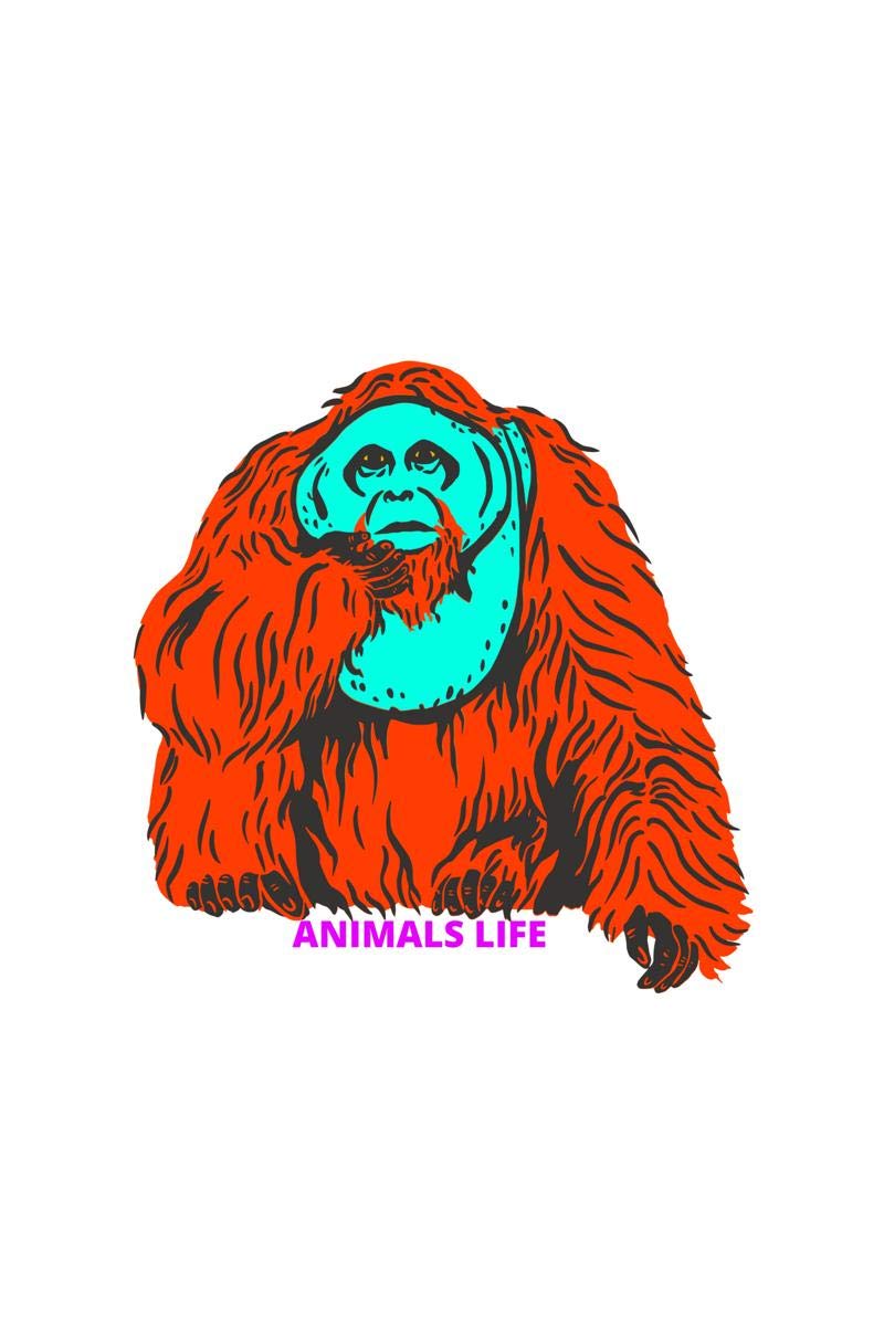 Animals Life