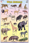 Tcc01B | Teachingnest Wild Animals Chart | Laminated 33X48 Cm (13X19 Inch) | Wall Sticking [Wall Chart] Teachingnest [Wall Chart