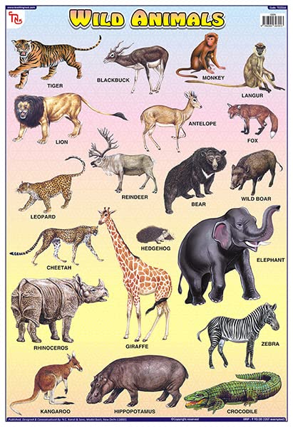 Tcc01B | Teachingnest Wild Animals Chart | Laminated 33X48 Cm (13X19 Inch) | Wall Sticking [Wall Chart] Teachingnest [Wall Chart