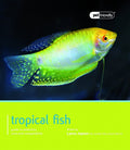 Tropical Fish (Pet Friendly)