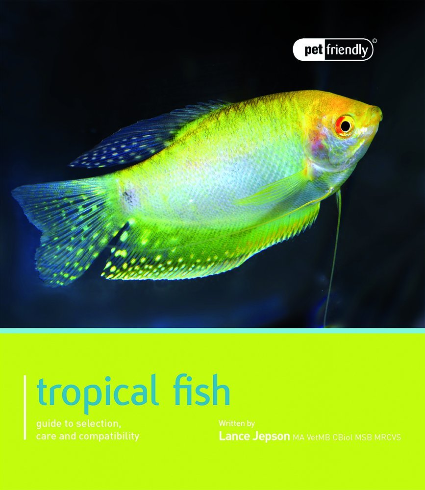 Tropical Fish (Pet Friendly)