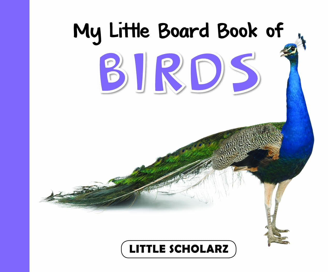 My Little Board Book of Birds