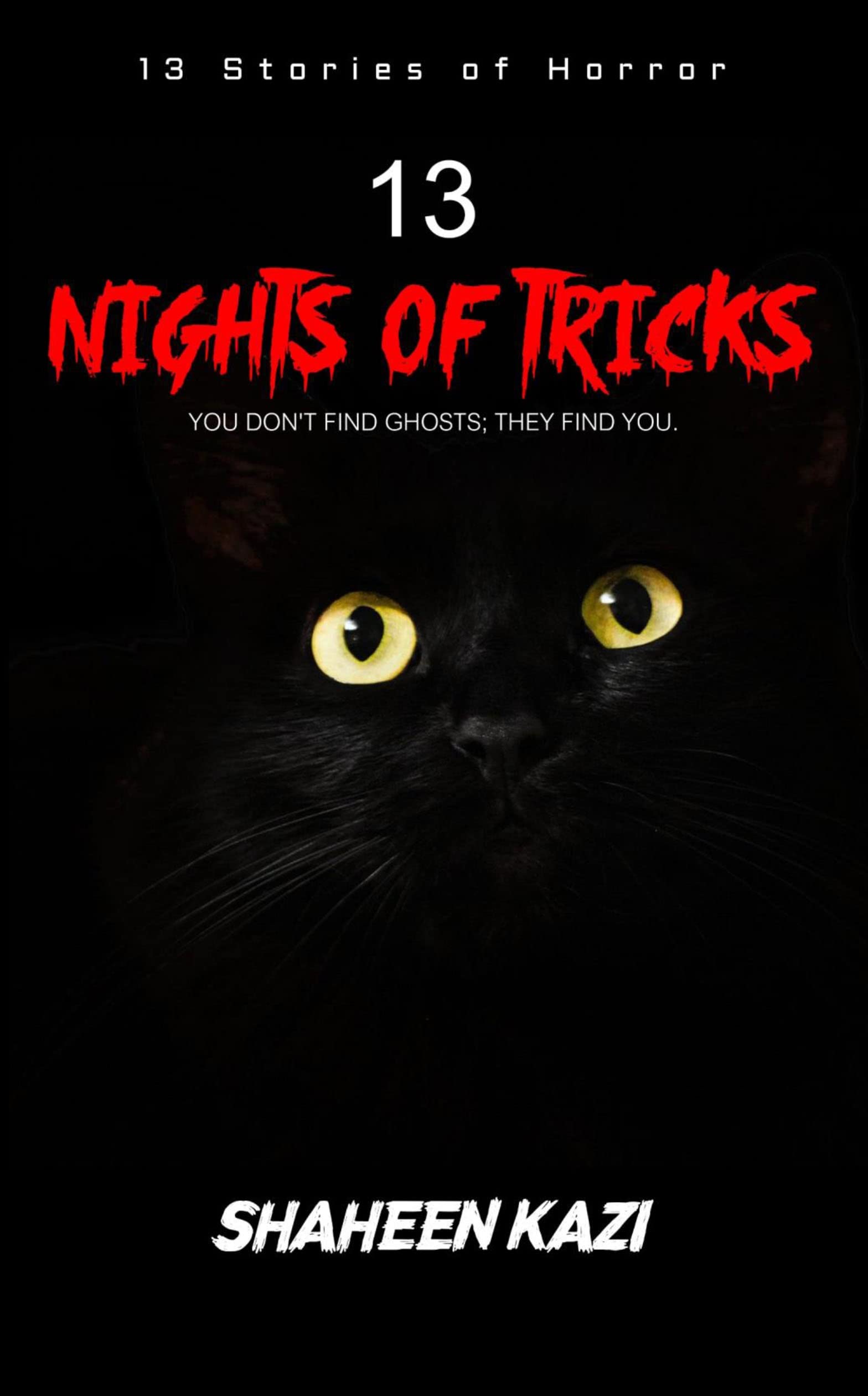 13 Nights Of Tricks: You DonT Find Ghosts; They Find You