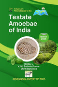 A Beginners Pictorial Guide to the Testate Amoebae of India