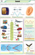 Stp05 | Teachingnest | Sound Chart (58X90 Cm) | English | Physics Charts | With Rollers [Wall Chart]