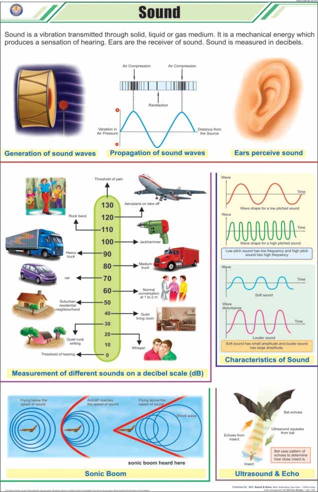 Stp05 | Teachingnest | Sound Chart (58X90 Cm) | English | Physics Charts | With Rollers [Wall Chart]
