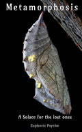 Metamorphosis : A Solace For The Lost Ones