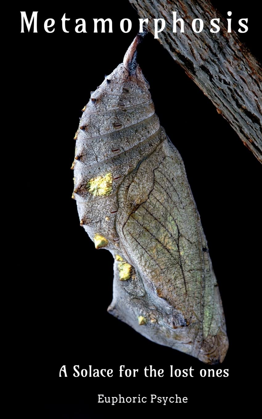 Metamorphosis : A Solace For The Lost Ones