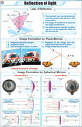 Stp11 | Teachingnest | Reflection Of Light Chart (58X90 Cm) | English | Physics Charts | With Rollers [Wall Chart] Charts On Phy