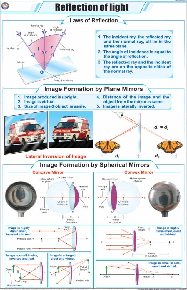 Stp11 | Teachingnest | Reflection Of Light Chart (58X90 Cm) | English | Physics Charts | With Rollers [Wall Chart] Charts On Phy