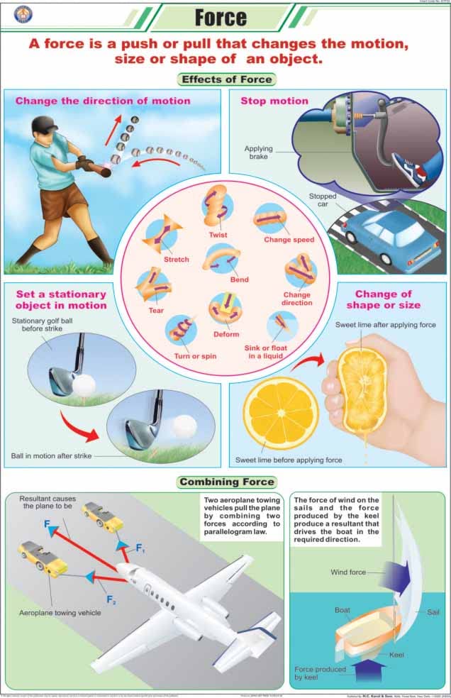 Stp32 | Teachingnest | Force Chart (58X90 Cm) | English | Physics Charts | With Rollers [Wall Chart] Charts On Physics And Teach