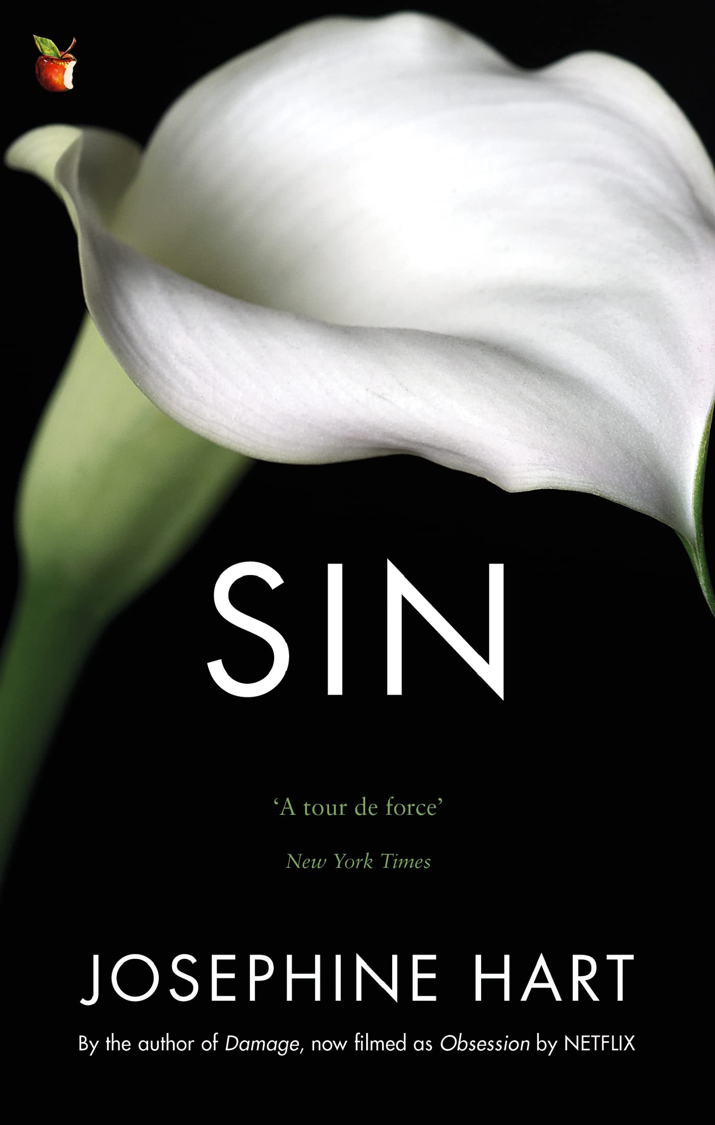 Sin: By the author of DAMAGE, inspiration for the Netflix series OBSESSION (Virago Modern Classics)