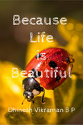 Because Life is Beautiful