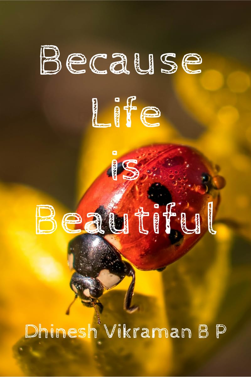 Because Life is Beautiful