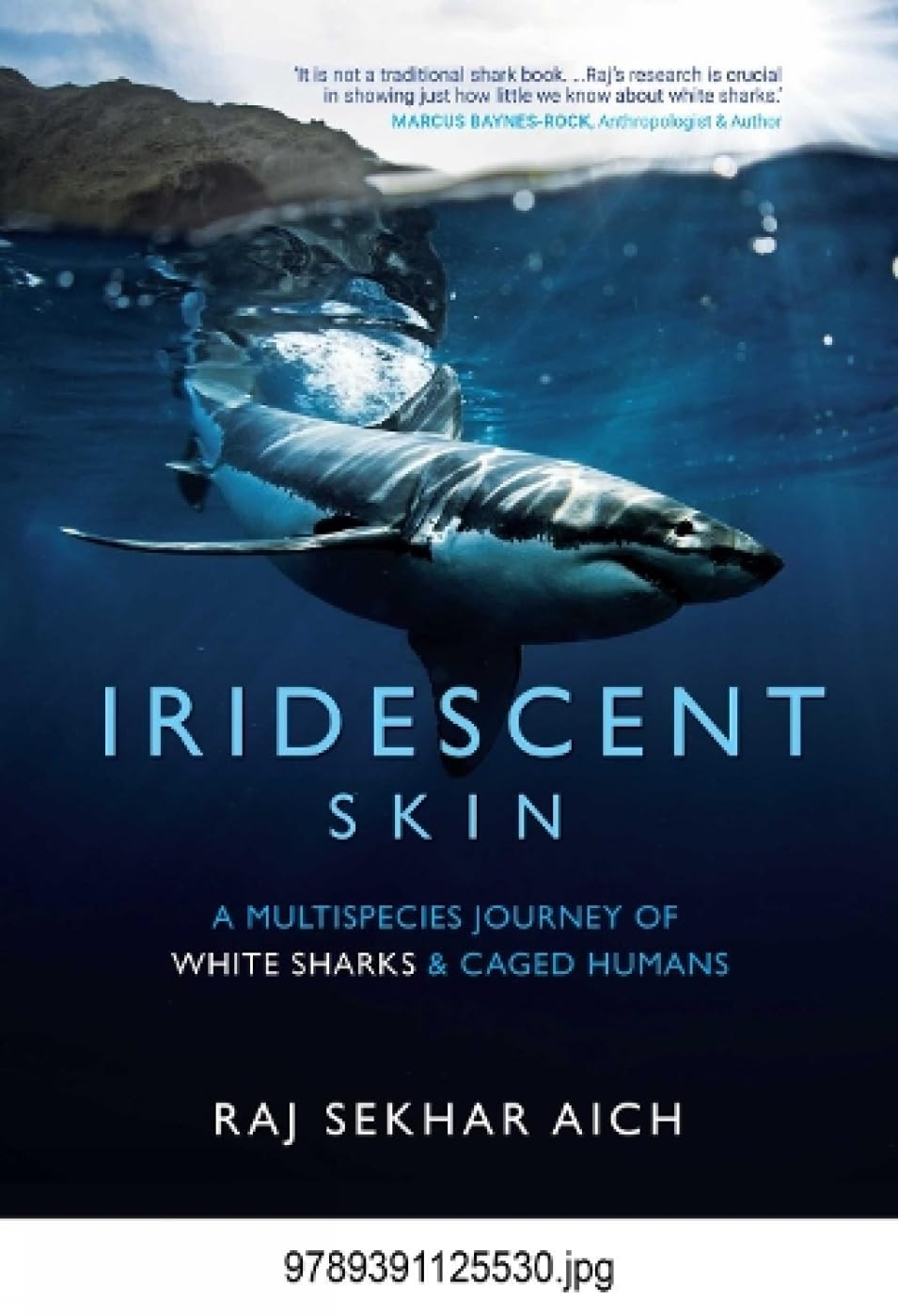 Iridescent Skin: A Multispecies Journey of White Sharks & Caged Humans