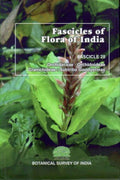 Fascicles of Flora of India vol.28 Orchidaceae: Orchideae Cranichideae: Subtribe Goodyearinar
