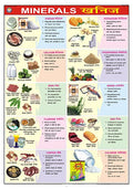 Fn06 | Teachingnest | Minerals Chart (70X100Cm) | Food And Nutrition Chart | Wall Sticking | English  Hindi Combined