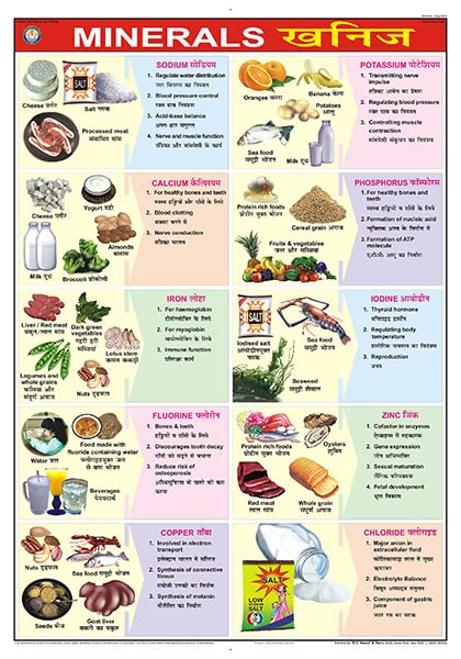Fn06 | Teachingnest | Minerals Chart (70X100Cm) | Food And Nutrition Chart | Wall Sticking | English  Hindi Combined