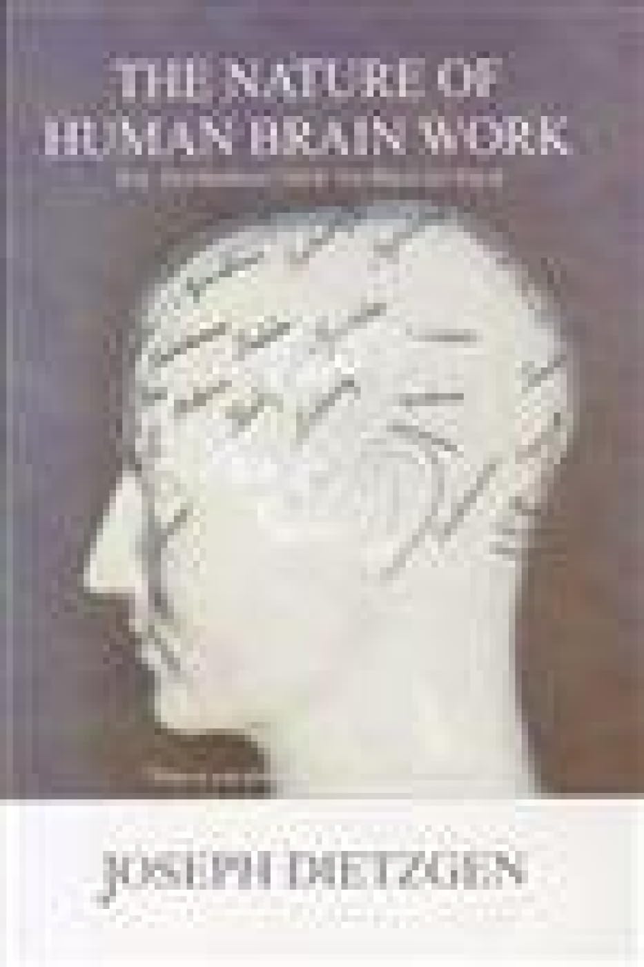 The Nature Of Human Brain Work: An Introduction To Dialectics
