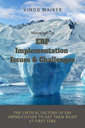 Erp Implementation Issues And Challenges