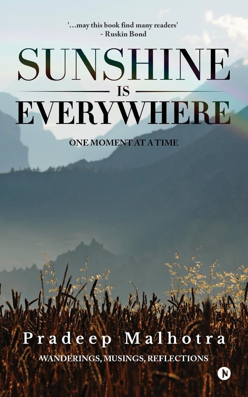 Sunshine is Everywhere : One Moment at a Time