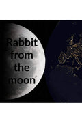 Rabbit From The Moon
