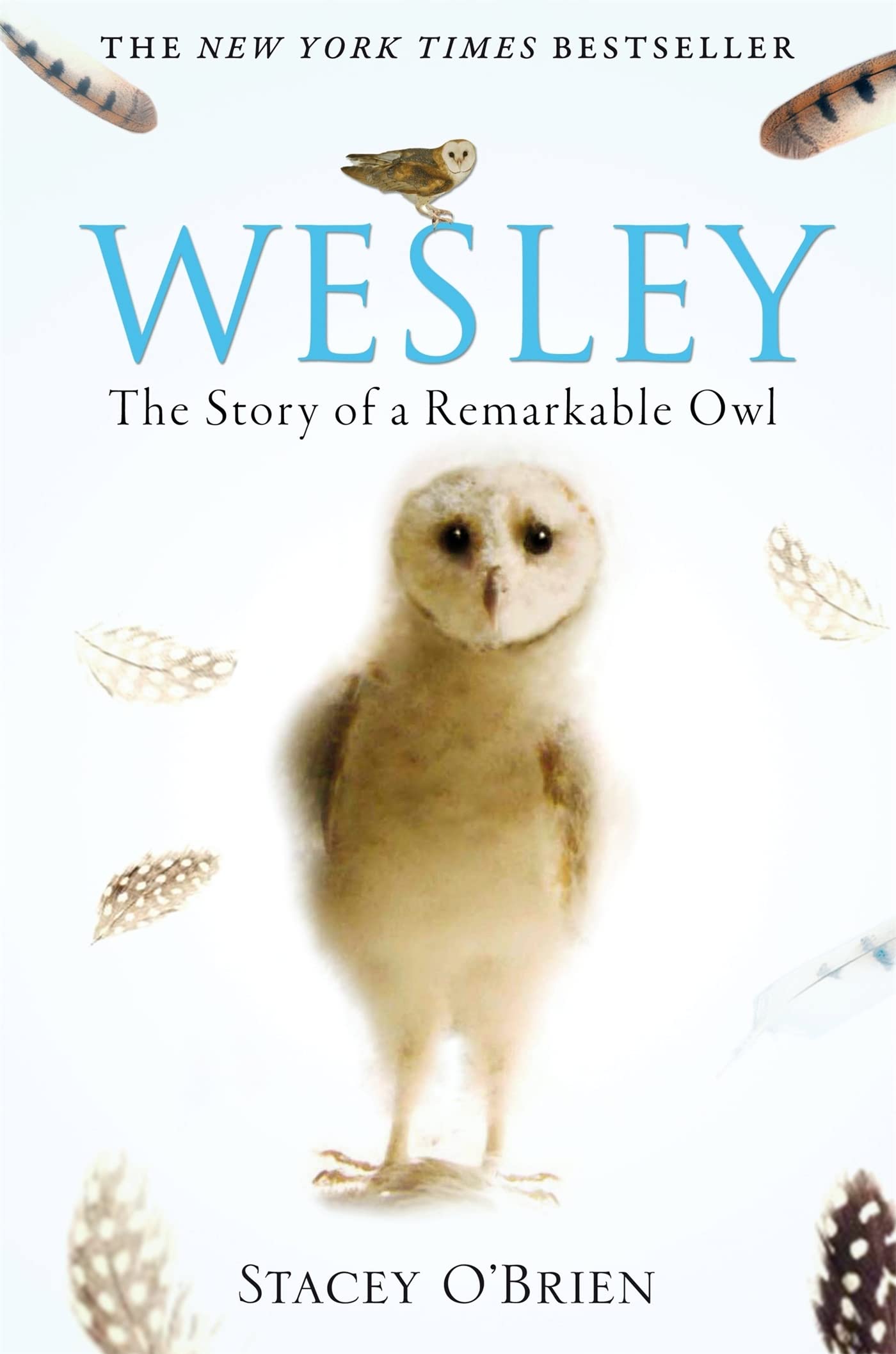 Wesley: The Story of a Remarkable Owl